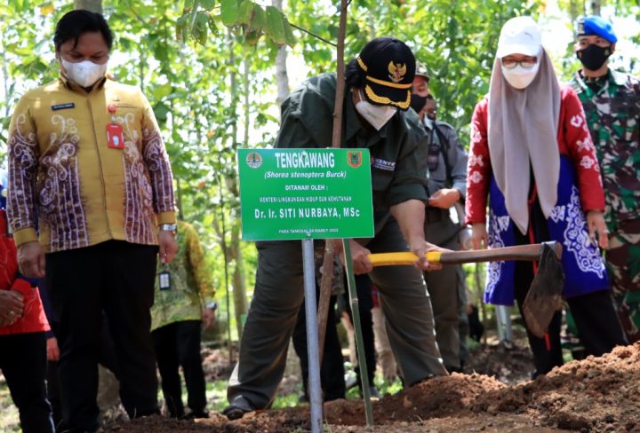 Menteri Lhk Sebut Pembangunan Kehutanan Di Kalsel Meningkat Tiap Tahun