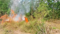 Karhutla Banjarbaru Capai 621 Hektare, Landasan Ulin Jadi Wilayah Terparah