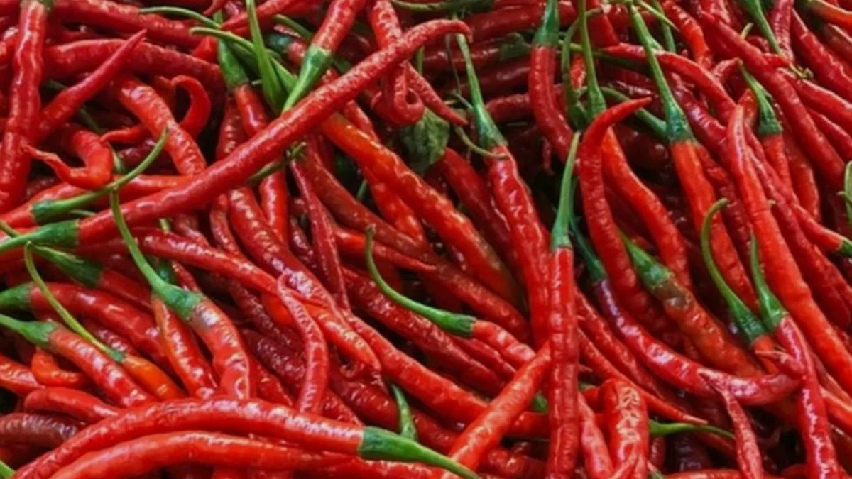 Harga Cabe Rawit Merah di Pasar Tanjung Turun, Tiga Komoditas Lain Mengalami Kenaikan