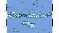 Warga Berlarian ke Bukit, Gempa M7 Disusul Tsunami di NTT Goyang Sulsel hingga Bali