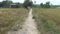 Permudah Angkut Hasil Panen, Kelompok Tani Padang Sari Usulkan Peningkatan Jalan Usaha Tani