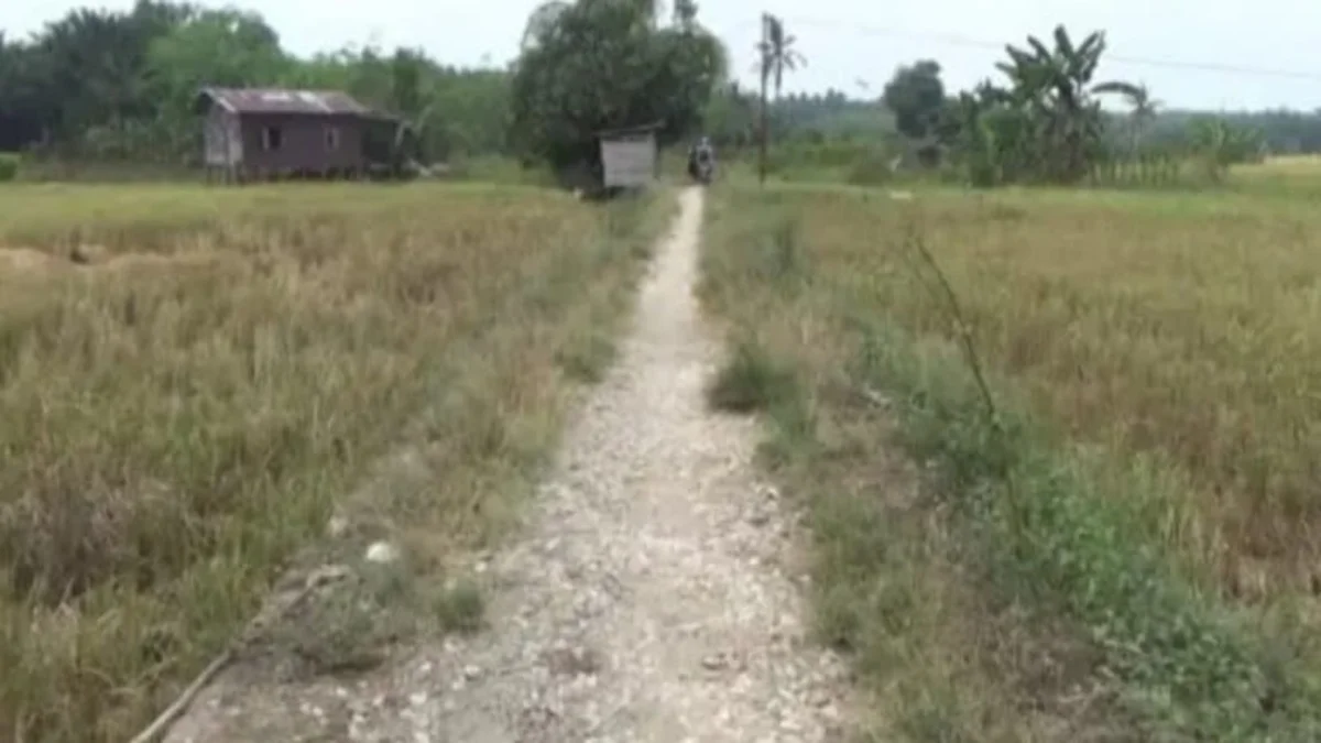Permudah Angkut Hasil Panen, Kelompok Tani Padang Sari Usulkan Peningkatan Jalan Usaha Tani