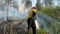 Kebakaran Lahan Tambak Buluh Banjarbaru Hanguskan Gudang Warga