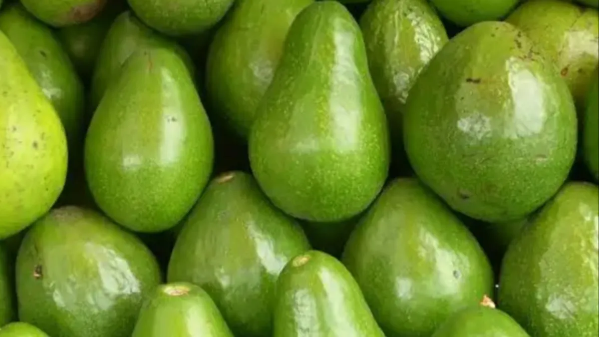 6 Makanan Sehat Baik Dikonsumsi Saat Kabut Asap Melanda