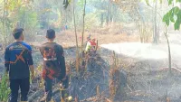 Damkar HST dan Relawan Tangani Lima Kebakaran Lahan di Empat Kecamatan dalam Sehari