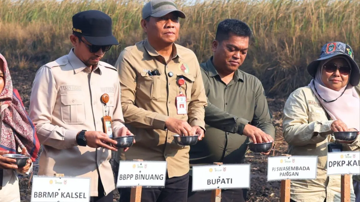 Perkuat Ketahanan Pangan, Pemkab Tanah Laut dan Kementan Gelar Gerakan Tanam Serempak Nasional