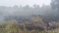 Sebanyak 1.000 Personel Disiapkan Tangani Tiga Lokasi Prioritas Perangi Karhutla Kalsel
