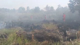 Sebanyak 1.000 Personel Disiapkan Tangani Tiga Lokasi Prioritas Perangi Karhutla Kalsel