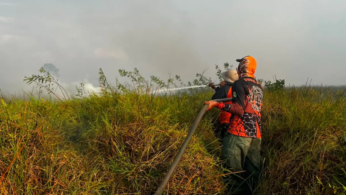 BPBD Tanah Bumbu Tangani Kebakaran Lahan 5 Hektare di Desa Satiung Kusan Tengah