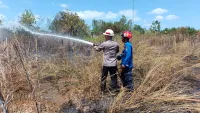 Permukiman Warga Desa Atu-atu Pelaihari Terhindar dari Karhutla, Dua Hektare Lahan Hangus