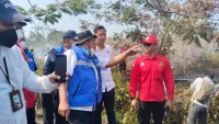 Menteri LH Tinjau Karhutla di Banjarbaru, 11 Perusahaan di Kalsel Teridentifikasi Bakar Lahan