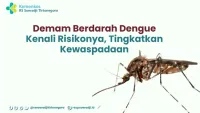 Tips Sehat, Kenali Gejala DBD Muncul Setelah 4 Hari Digigit Nyamuk