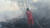 Kalsel Operasi Darat dan Udara, Karhutla di Kalimantan dan Jambi Jadi Prioritas BNPB