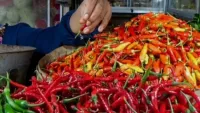 Harga Sejumlah Bahan Pokok di Pasar Tanjung Naik, Terdampak Kemarau