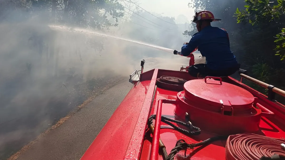 Tim Damkar Tanah Laut Gagalkan Kebakaran Lahan Seluas Satu Hektare yang Mengancam Permukiman Warga