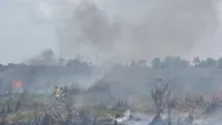 Tiga Titik Karhutla Berhasil Ditangani BPBD Tanah Bumbu
