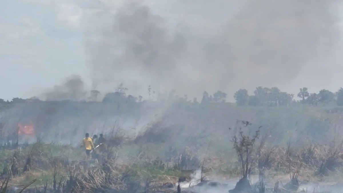 Tiga Titik Karhutla Berhasil Ditangani BPBD Tanah Bumbu