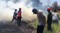 Bupati Rahmat Trianto Pimpin Langsung Pemadaman Karhutla di Pulau Sari Tanah Laut