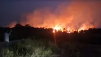 Hutan Semak Kecamatan Gambut Banjar Terbakar, Kabut Asap Tebal Rambah Banjarmasin