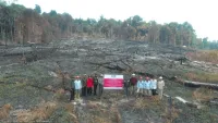 Karhutla di Pulau Kalimantan, 6 Perusahaan Dikenai Sanksi Tersebar di Kalteng Kalbar dan Kaltim