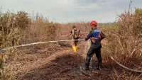 478 Hotspot Muncul di HST hingga 25 Agustus, 50 Titik Diketahui sebagai Karhutla