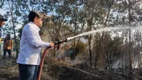 Hasnuryadi Sulaiman Ikut Padamkan Karhutla di Guntung Damar Banjarbaru