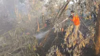 Deteksi Bara Tersembunyi, Drone Thermal Bakal Dikerahkan untuk Tangani Karhutla Kalsel
