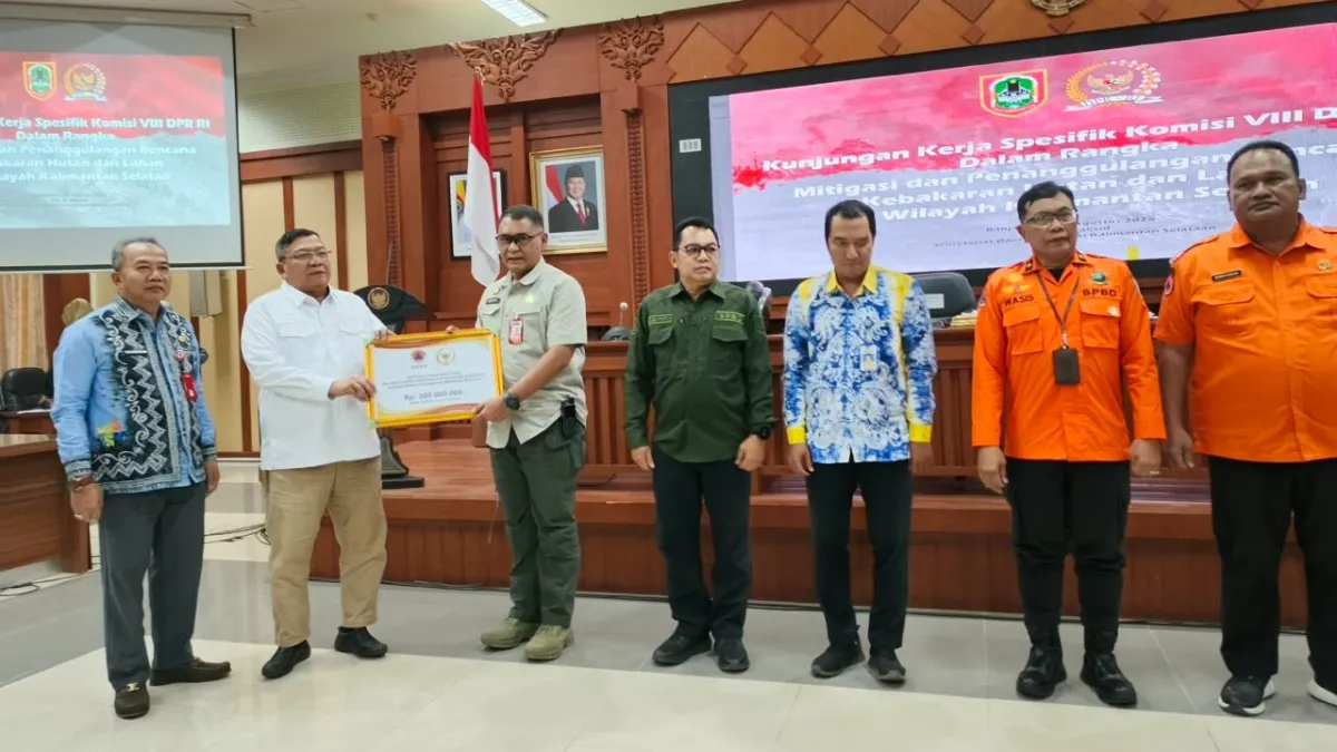 Komisi VIII DPR RI Soroti Karhutla di Kalsel, Butuh Penanganan Khusus