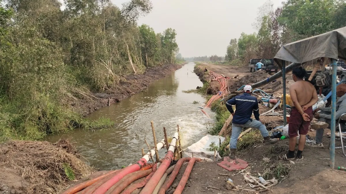 Satgas Darat Sebulan Lebih Basahi Hutan Lindung Banjarbaru, Titik Api Kembali Muncul Setelah Dua Hari