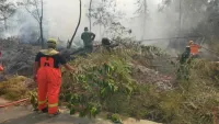 Empat Hari Berjibaku Melawan Karhutla, Relawan Bulungan Kaltara Meninggal di Atas Alkon