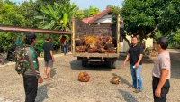 1,2 Ton Sawit Diduga Hasil Curian, Pria di Tabalong Diamankan Polisi