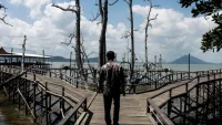 Bupati Andi Rudi Latif Dorong Wisata Mangrove Kersik Putih Jadi Ikon Wisata Tanah Bumbu