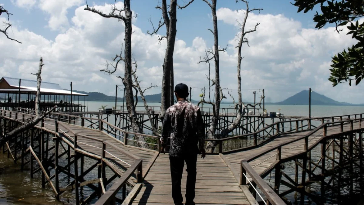 Bupati Andi Rudi Latif Dorong Wisata Mangrove Kersik Putih Jadi Ikon Wisata Tanah Bumbu