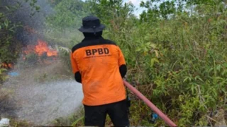 Diduga Terjebak Karhutla, Lansia Kobar Kalteng Ditemukan Menghitam di Kebun