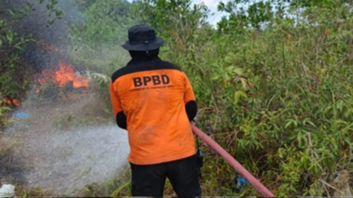Diduga Terjebak Karhutla, Lansia Kobar Kalteng Ditemukan Menghitam di Kebun