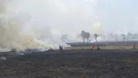 Karhutla Kalsel, Banjarbaru Masih Jadi Wilayah Prioritas Penanganan
