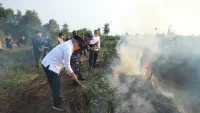 Gunakan Ranting Pohon, Gubernur Kalsel Padamkan Karhutla di Pengayuan