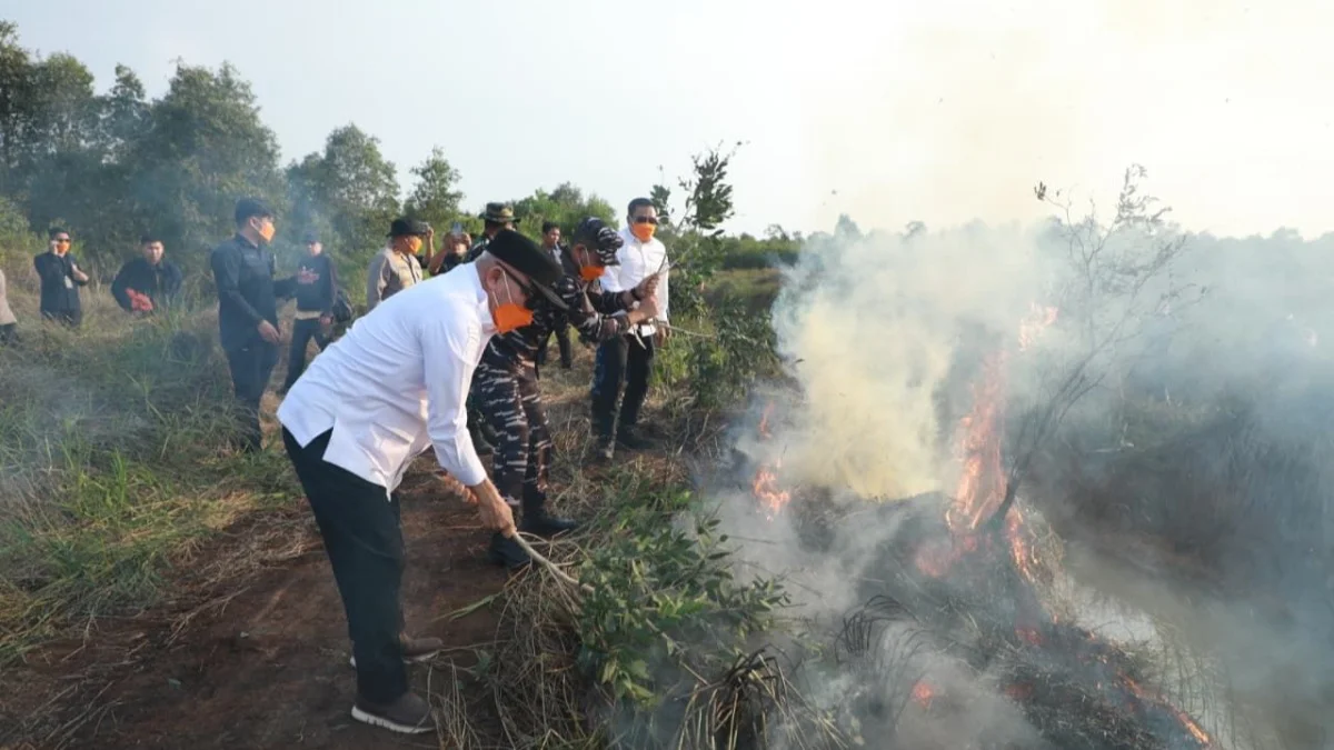 Gunakan Ranting Pohon, Gubernur Kalsel Padamkan Karhutla di Pengayuan
