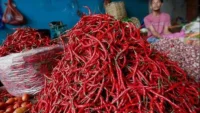 Harga Cabe Merah Keriting Merangkak Naik di Tabalong, Elpiji 3 Kg Eceran Turun di Eceran