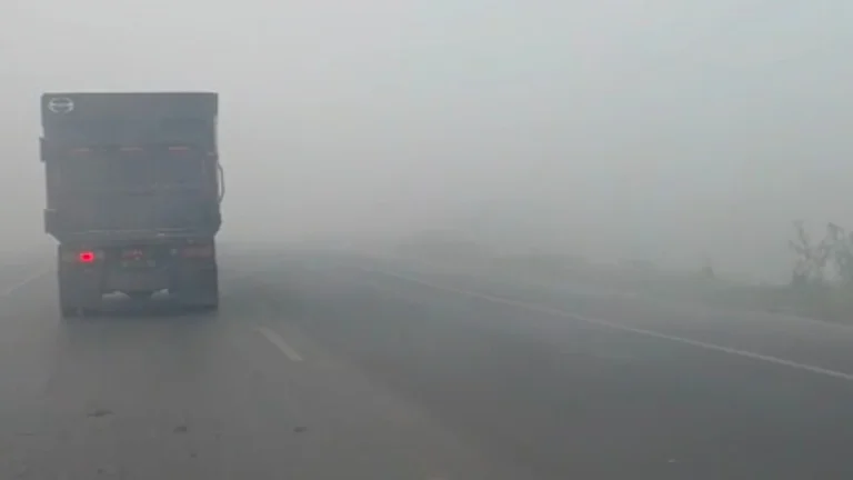 Kabut Asap Tebal Selimuti Pengayuan Banjarbaru, Kendaraan Nyalakan Lampu Jauh dan Sein