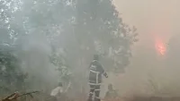 Karhutla di Jejangkit Batola Dekati Pemukiman Warga