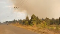 Karhutla Hingga Malam, BPBD Kalsel Ungkap Asap Sempat Ganggu Penerbangan Bandara Syamsudin Noor