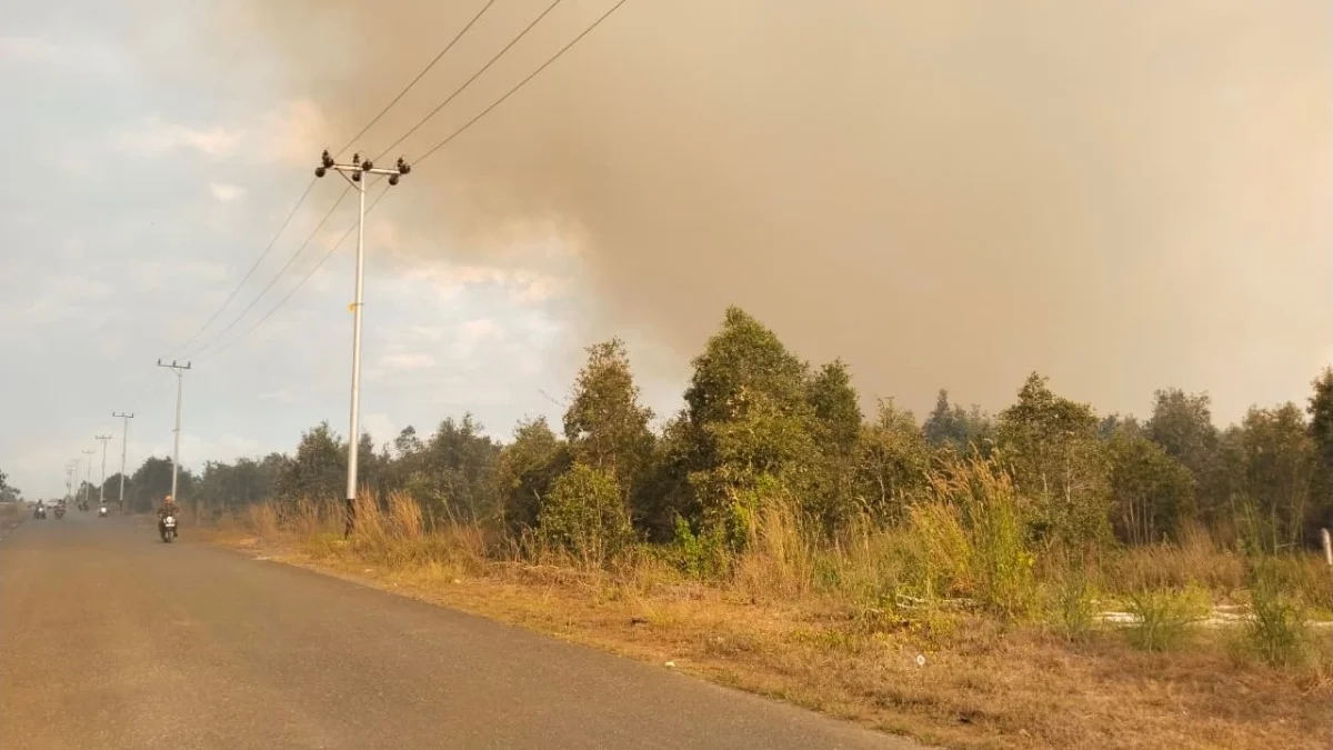 Karhutla Hingga Malam, BPBD Kalsel Ungkap Asap Sempat Ganggu Penerbangan Bandara Syamsudin Noor