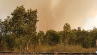 Kebakaran Hutan di Liang Anggang Banjarbaru, Lurah Misran: Diduga Sudah Terbakar Sejak Tadi Malam
