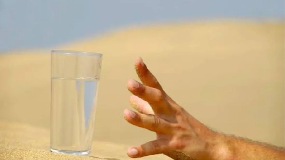 Tips Sehat, Cukupkah 10 Gelas Air per Hari Saat Musim Panas