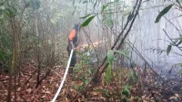 Karhutla Kabupaten Banjar, 71 Kejadian Hanguskan 294 Ribu Hektare Lahan