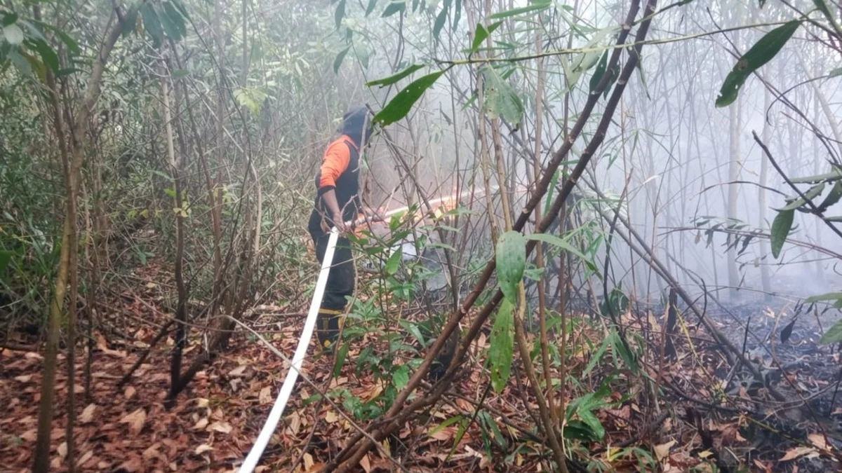 Karhutla Kabupaten Banjar, 71 Kejadian Hanguskan 294 Ribu Hektare Lahan