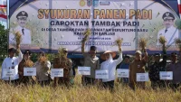 Syukuran Panen di Beruntung Baru Tandai Dimulainya Panen Padi di Kabupaten Banjar