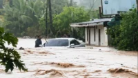 Hujan Deras Bikin Nunukan Kaltara Kebanjiran Hingga Hanyutkan Sapi Warga