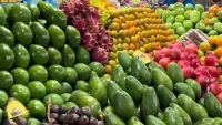 Tips Sehat 3 Waktu Terbaik Makan Buah untuk Jaga Imunitas Tubuh